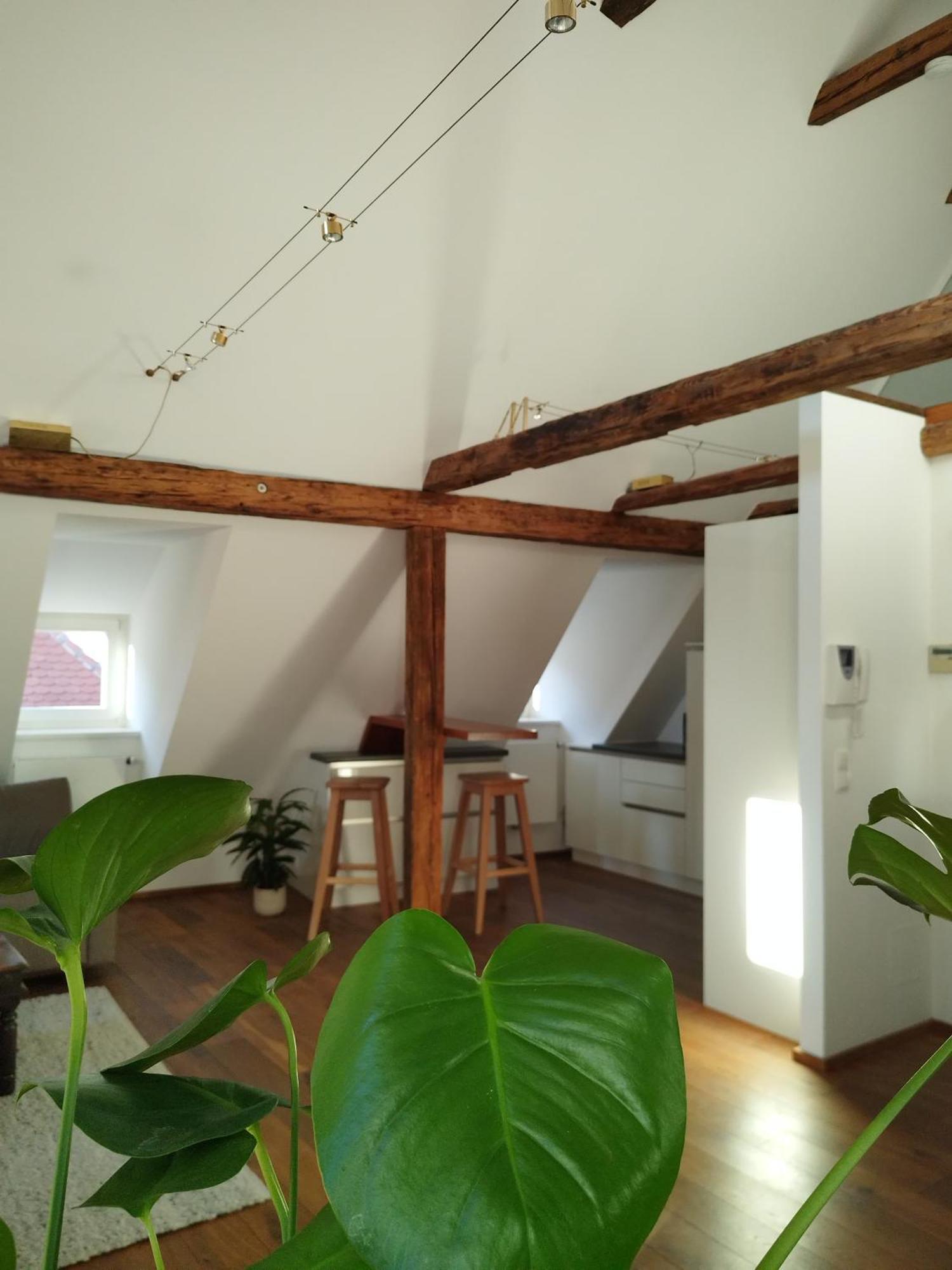Goldene Pastete - Urban Luxury Apartments 格拉茨 外观 照片